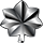 Lieutenant Colonel